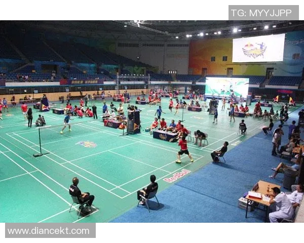 深圳羽毛球队在比赛中的控制能力分析与得失总结