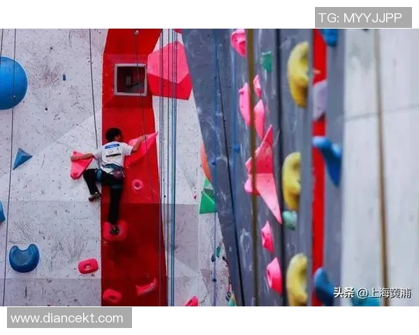 攀岩巨献：深入了解上海攀岩队的训练与比赛节奏之旅