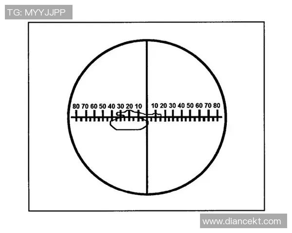 南京排球队战术揭秘：从训练到比赛的全景分析与策略探讨