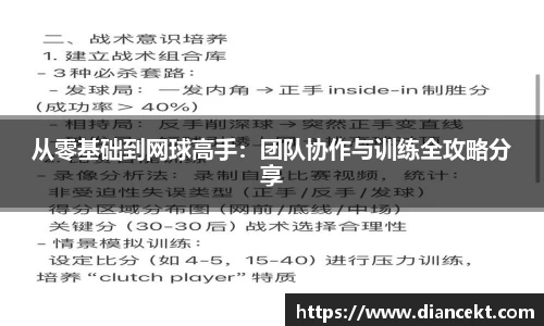 从零基础到网球高手：团队协作与训练全攻略分享