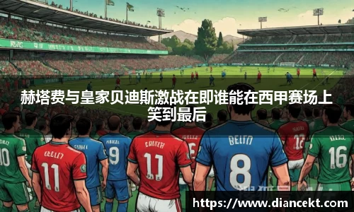 DB旗舰官网