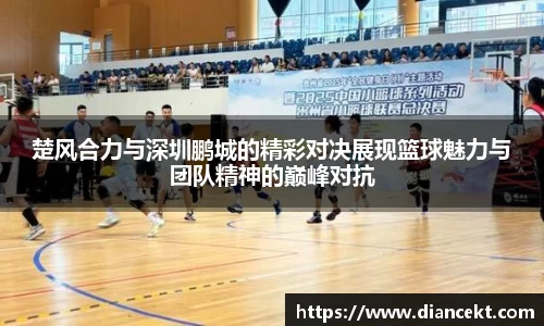 DB旗舰官网
