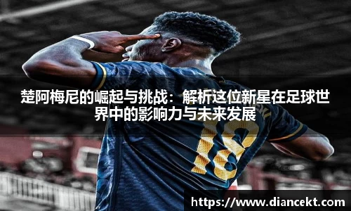 DB旗舰官网