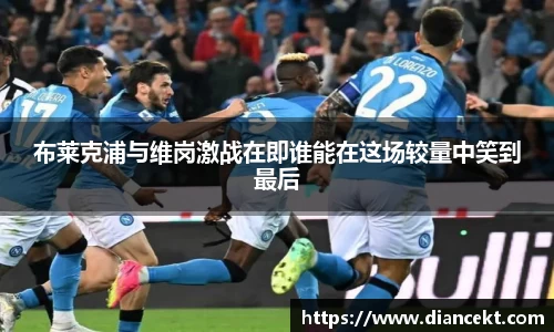 DB旗舰官网
